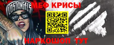 стафф Кингисепп