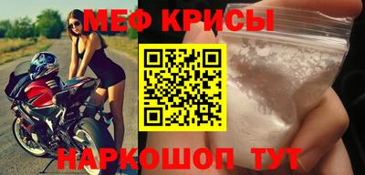 стафф Кингисепп