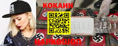 стафф Кингисепп