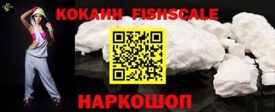 стафф Кингисепп
