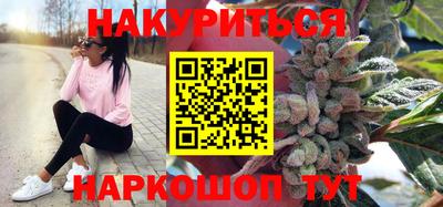 стафф Кингисепп
