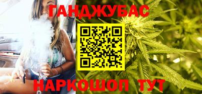стафф Кингисепп