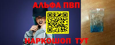 стафф Кингисепп